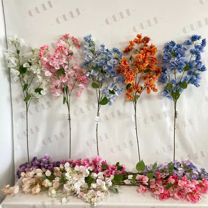 Filial artificial de Bougainvillea
