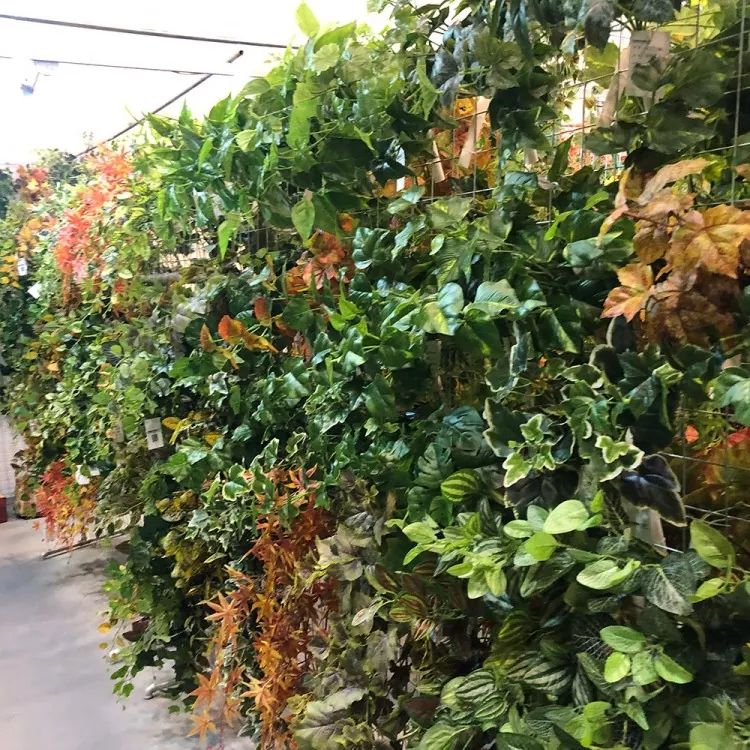 Planta de hera artificial