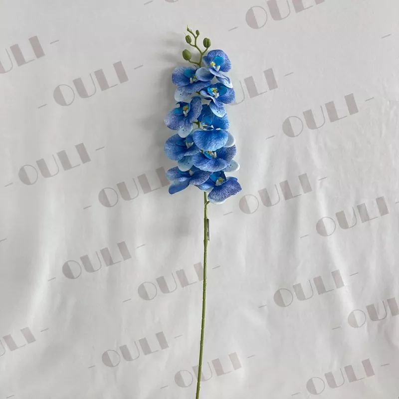 Orquídea falsa de várias cores